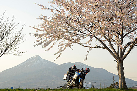 [大賞]春の夕暮れ磐梯山と桜