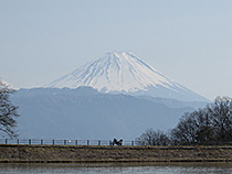 セローと富士山