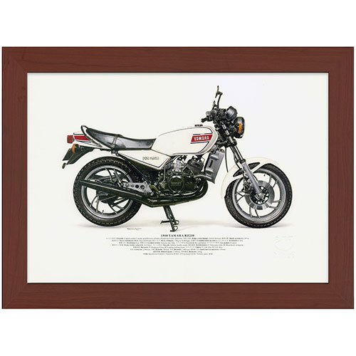 1980 YAMAHA RZ250 A3額装