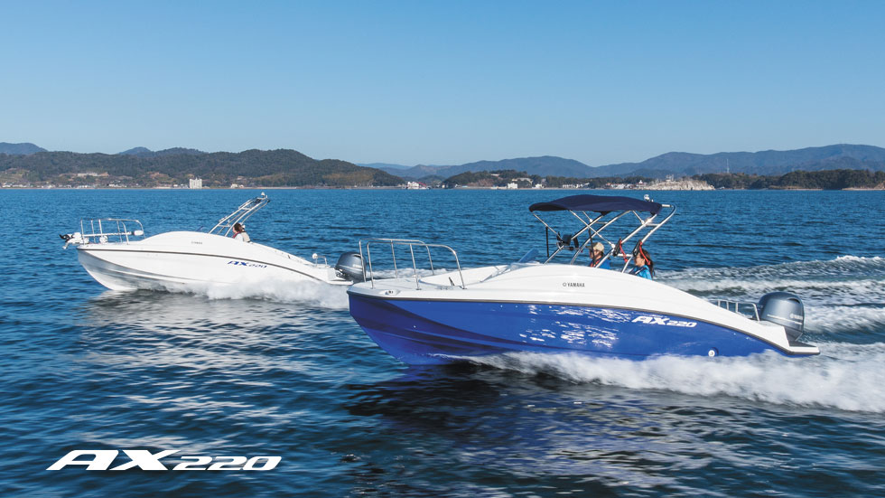 AX220