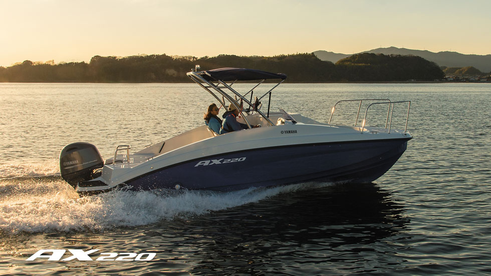 AX220