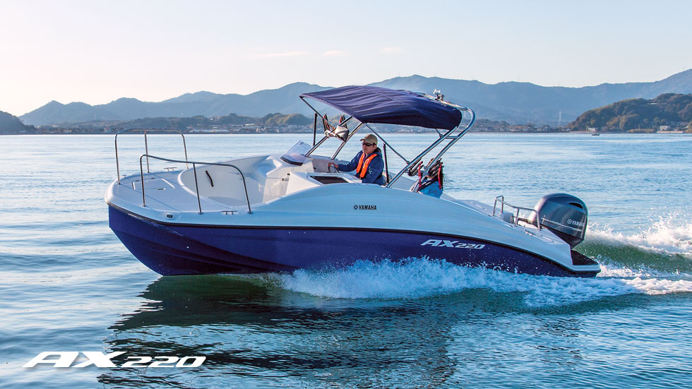 AX220
