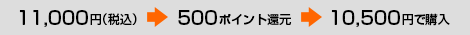 11,000円（税込） → 500ポイント還元 → 10,500円で購入