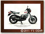 1980 YAMAHA RZ250