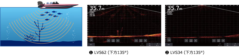 ライブスコープ 下方