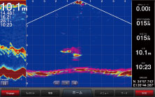 ライブビューダウン