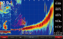ライブビューフォワード