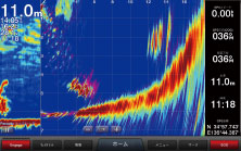 ライブビューフォワード