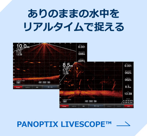 PANOPTIX LIVESCOPE™