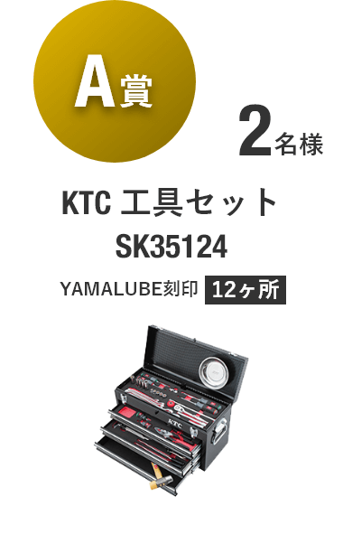 【A賞】KTC 工具セット SK35124 [2名様]
