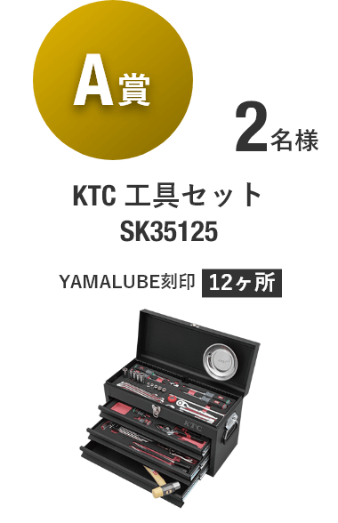 【A賞】KTC 工具セット SK35125 [2名様]