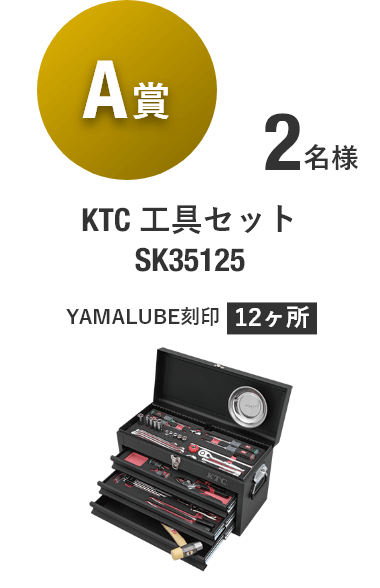 【A賞】KTC 工具セット SK35124 [2名様]