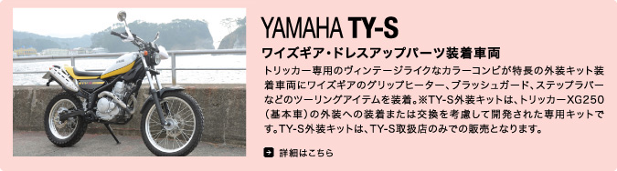 TY-S