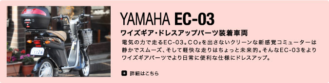 YAMAHA EC-03