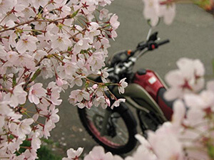 [入賞]小春日和
