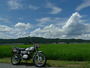 [入賞]初夏