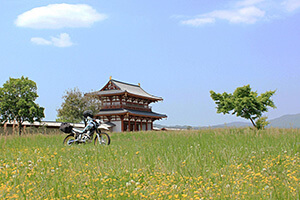 [入賞]野花の平城京