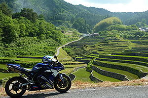 [入賞]初夏の棚田