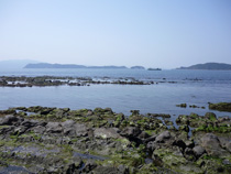 友が島　（春の霞）