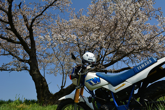 第11回フォトコンテスト - フォトコンテスト | ヤマハ発動機