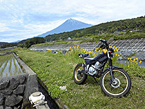 近所にお散歩