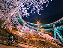 橋の中の舞台