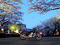 花舞台