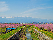 春の小川