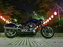 夜桜提灯