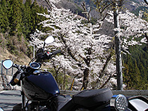 空と山と桜とＢＯＬＴ