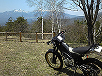 高原で桜再び