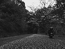 花道
