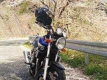 桜の中に愛車