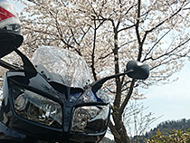 なんとか間に合った。