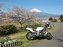 富士と桜と舞バイク