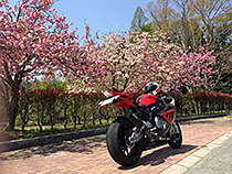 花よりバイク