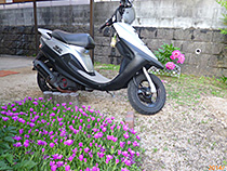 1996年生まれ