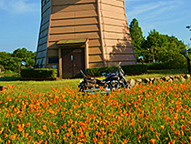花鳥風車
