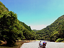 とある和歌山の林道