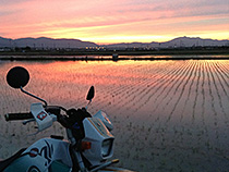 田園の夕焼け