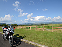 北の大牧場
