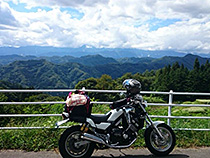 新しい相棒と