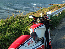海と曲線美