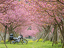 ”心静かに”