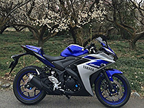 梅とR25