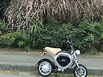 10歳の春