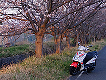 帰り道