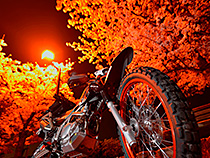 桜降る夜