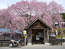 春の停留所