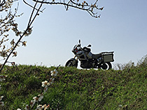 早春